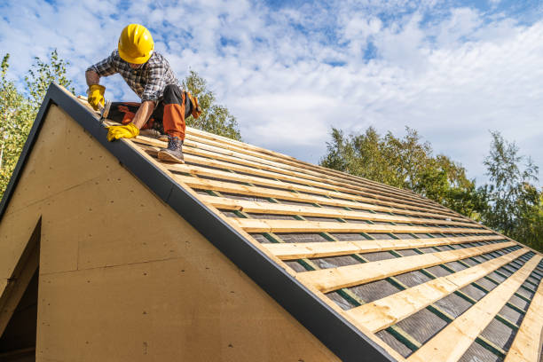 Roof Gutter Cleaning in Loves Park, IL